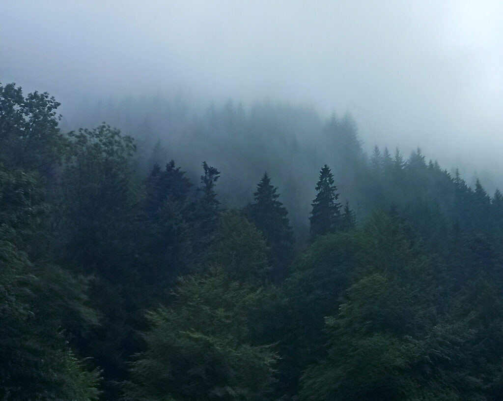 Echappée en Forêt Noire, Allemagne